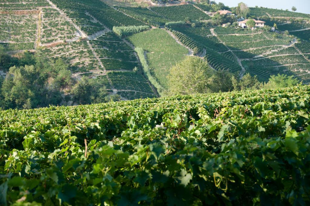 Cadgal - Tenuta Valdivilla Santo Stefano Belbo Eksteriør billede